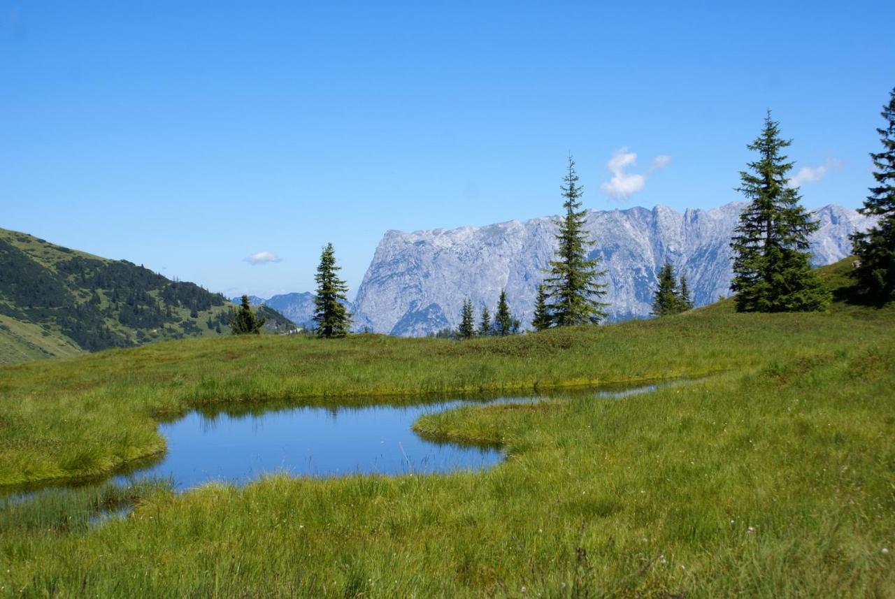 Das Sonneck Muhlbach Am Hochkonig Luaran gambar