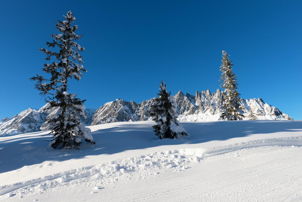 Das Sonneck Muhlbach Am Hochkonig Luaran gambar